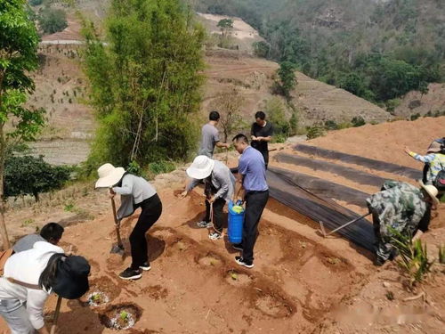 深化黨史學習教育助力鄉(xiāng)村振興發(fā)展